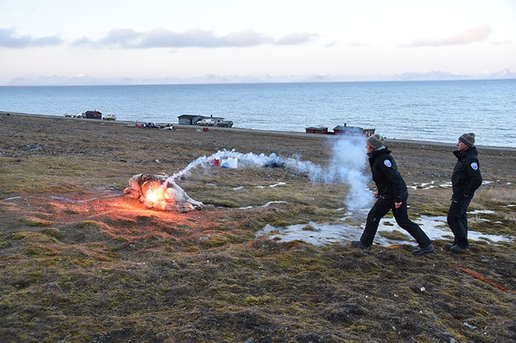 På god avstand: Ingvild Øyjordet (fra ren sone) antenner det bensin- og dieseldynkede kadaveret med et nødbluss. Foto: Mari M. Press, Veterinærinstituttet. På god avstand: Ingvild Øyjordet (fra ren sone) antenner det bensin- og dieseldynkede kadaveret med et nødbluss.