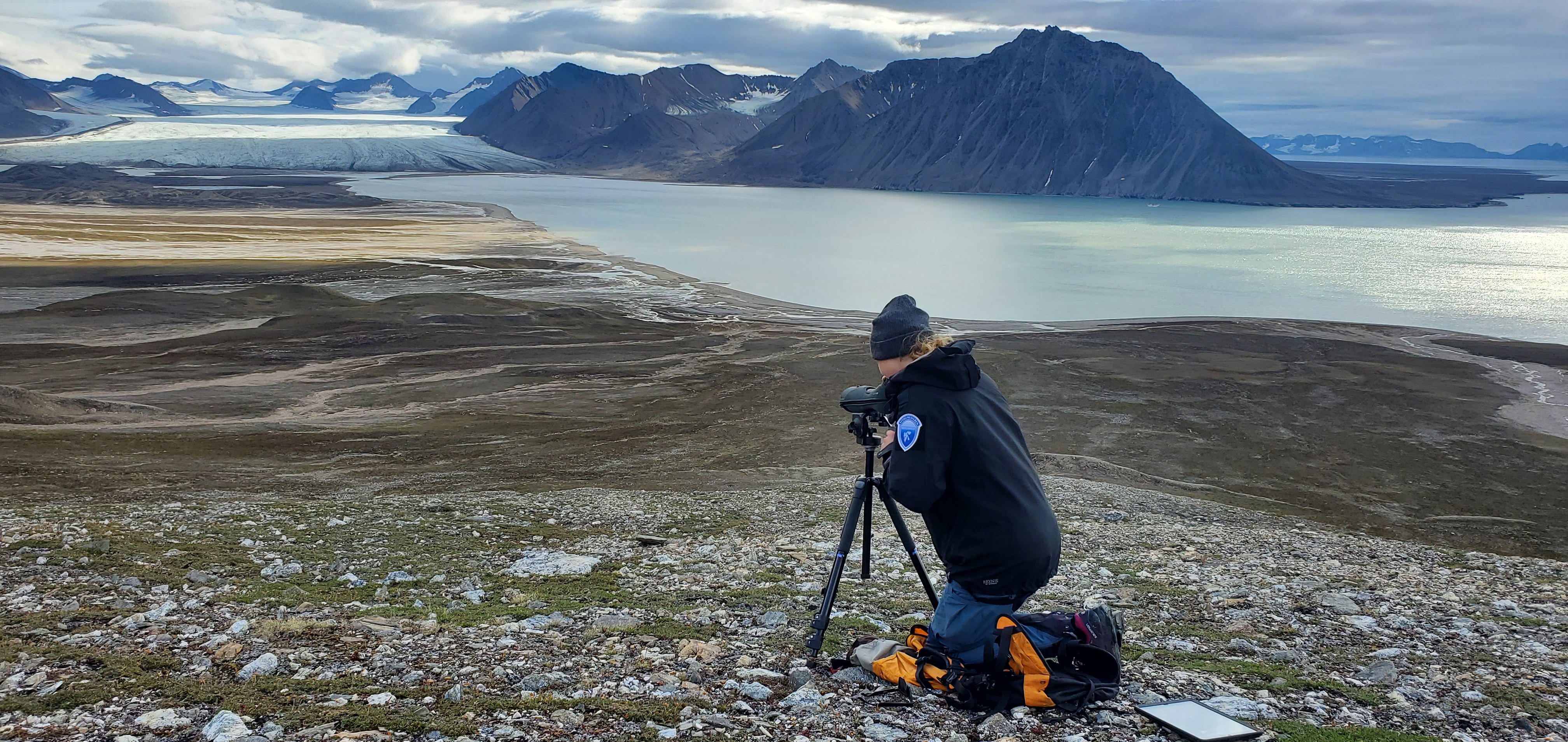 Feltinspektør på utkikk etter fjellrev i Engelskbukta i Forlandsundet på Svalbard. Foto: Lasse Aune / Sysselmesteren på Svalbard. Feltinspektør på utkikk etter fjellrev i Engelskbukta i Forlandsundet på Svalbard.